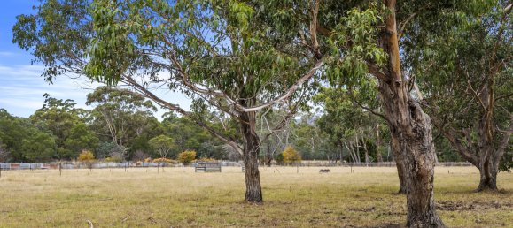 14164m² Land in Triabunna, Australia No. 296 8