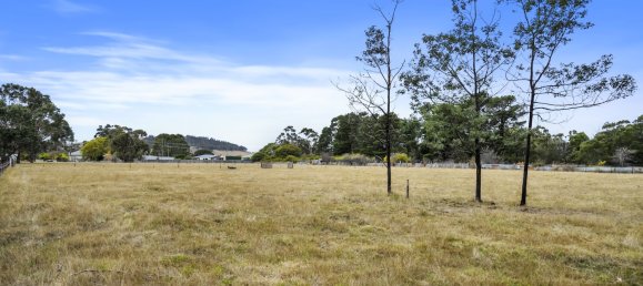 14164m² Land in Triabunna, Australia No. 296 5