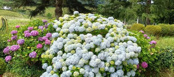 6 bedrooms House in Valdes, Spain No. 154895 45