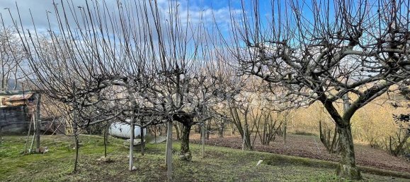 6 bedrooms House in Santo Stefano Belbo, Italy No. 308803 23