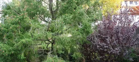 1 bedroom Apartment in Saint-Etienne, France No. 348213 3