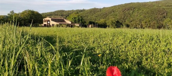 8 bedrooms House in Civitella Paganico, Italy No. 52913 2