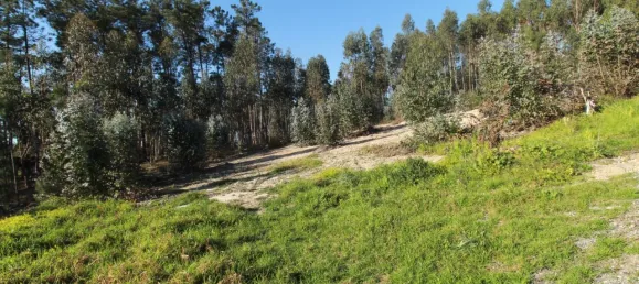  Land in Leiria, Portugal No. 71490 11