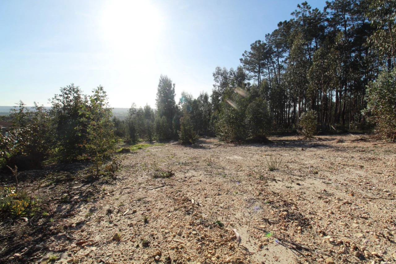  Land in Leiria, Portugal No. 71490