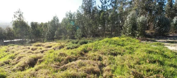  Land in Leiria, Portugal No. 71490 9