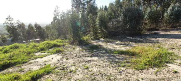  Land in Leiria, Portugal No. 71490 10