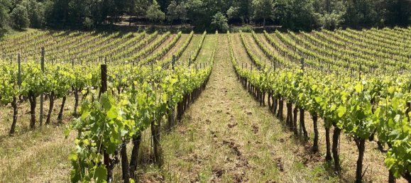 244m² Commercial property in Cotignac, France No. 1585 3