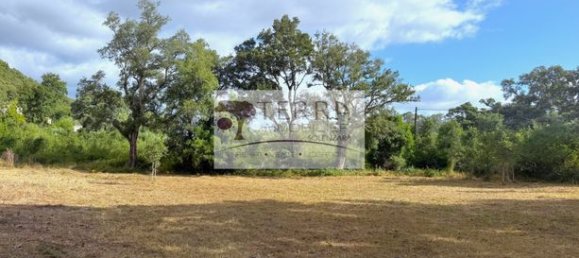 Земельный участок 860м² в Серра-ди-Фьюморбо, Франция № 303148 5