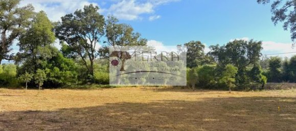 Земельный участок 860м² в Серра-ди-Фьюморбо, Франция № 303148 2