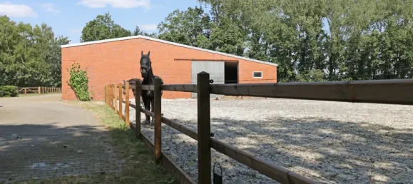 5 bedrooms House in Emsland, Germany No. 299825 8