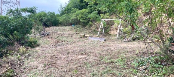 Studio in Cefalù, Italy, Nr. 132475 12