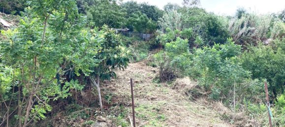 Studio in Cefalù, Italy, Nr. 132475 5