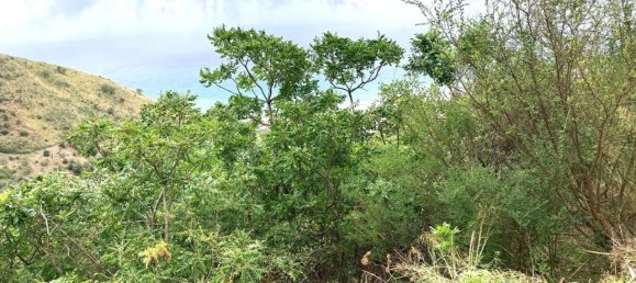 Studio in Cefalù, Italy, Nr. 132475 7