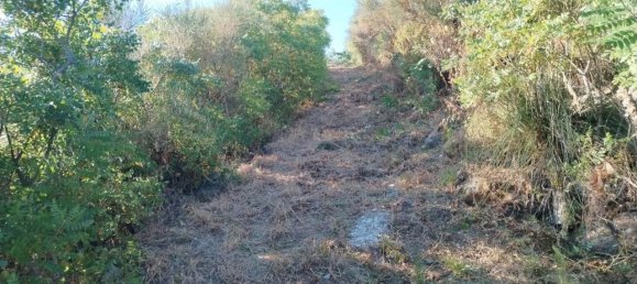 Studio in Cefalù, Italy, Nr. 132475 14