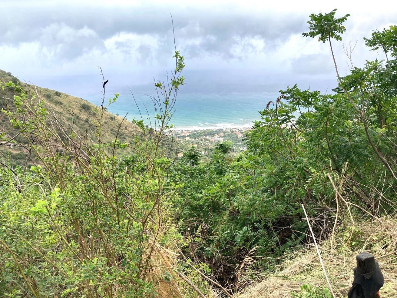 Studio in Cefalù, Italy, Nr. 132475