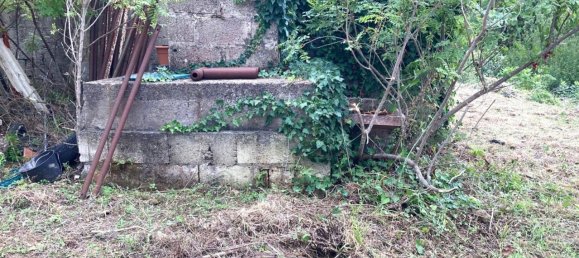 Studio in Cefalù, Italy, Nr. 132475 3