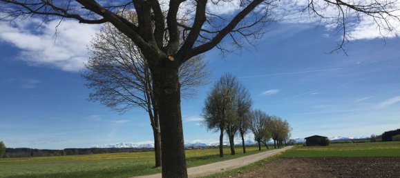 3 Schlafzimmer Haus in Unterallgäu, Germany, Nr. 135561 7