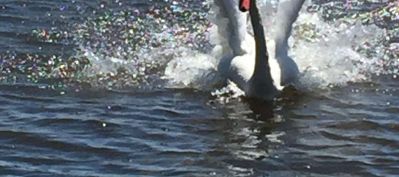 3 Schlafzimmer Haus in Unterallgäu, Germany, Nr. 135561 10