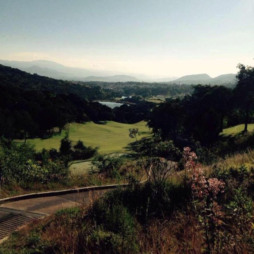  Land in Mexico No. 203524