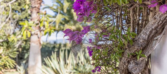 3 bedrooms House in Mexilhoeira Grande, Portugal No. 34163 31