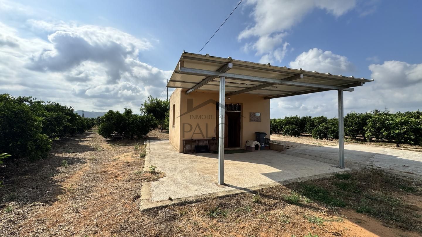 14356m² Land in Carcaixent, Spain No. 200417