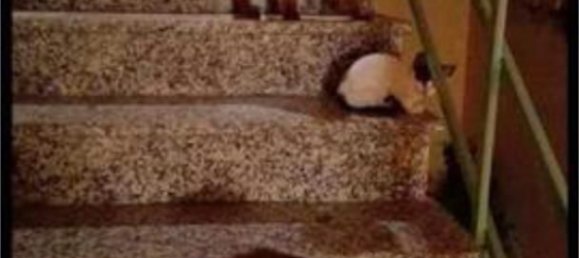 8 غرف نوم منزل في Zamora, Spain رقم 191056 3