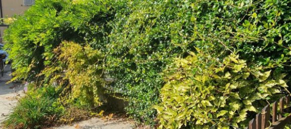 3 Schlafzimmer Haus in Morano sul Po, Italy, Nr. 358258 40