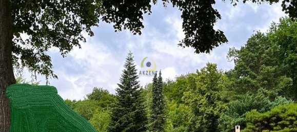  Land in Markisch-Oderland, Germany No. 269675 8