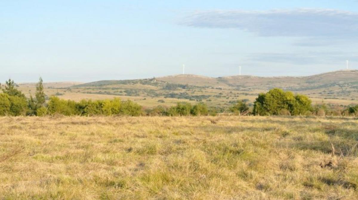  مزرعة في Maldonado, Uruguay 45متر مربع رقم 15729