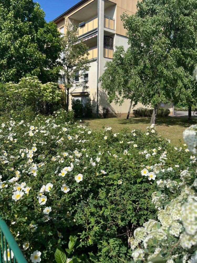3 Schlafzimmer Doppelhaus in Cottbus, Germany, Nr. 275940
