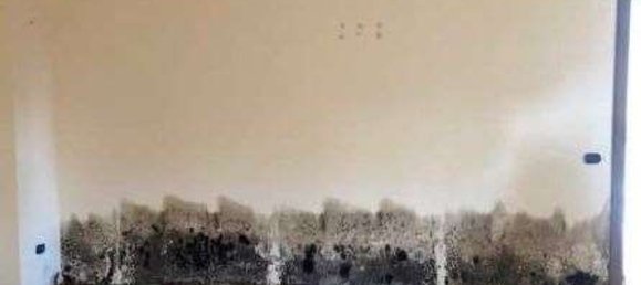 8 rooms Apartment in Nogara, Italy No. 208782 49