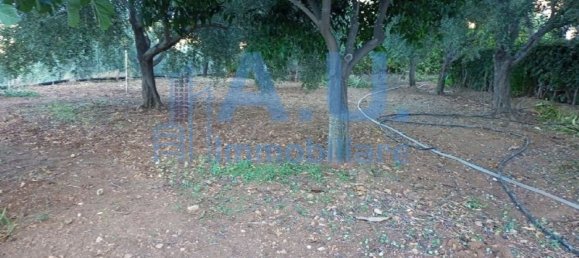 5 غرف نوم فيلا في Altavilla Milicia, Italy رقم 349354 42