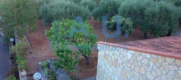 5 غرف نوم فيلا في Altavilla Milicia, Italy رقم 349354 40