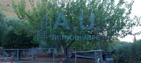 5 غرف نوم فيلا في Altavilla Milicia, Italy رقم 349354 24