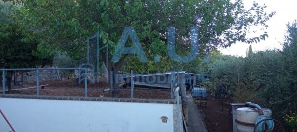 5 غرف نوم فيلا في Altavilla Milicia, Italy رقم 349354 33