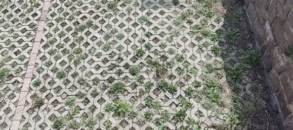 Garage à Cavalese, Italy 14m² No. 302726 3