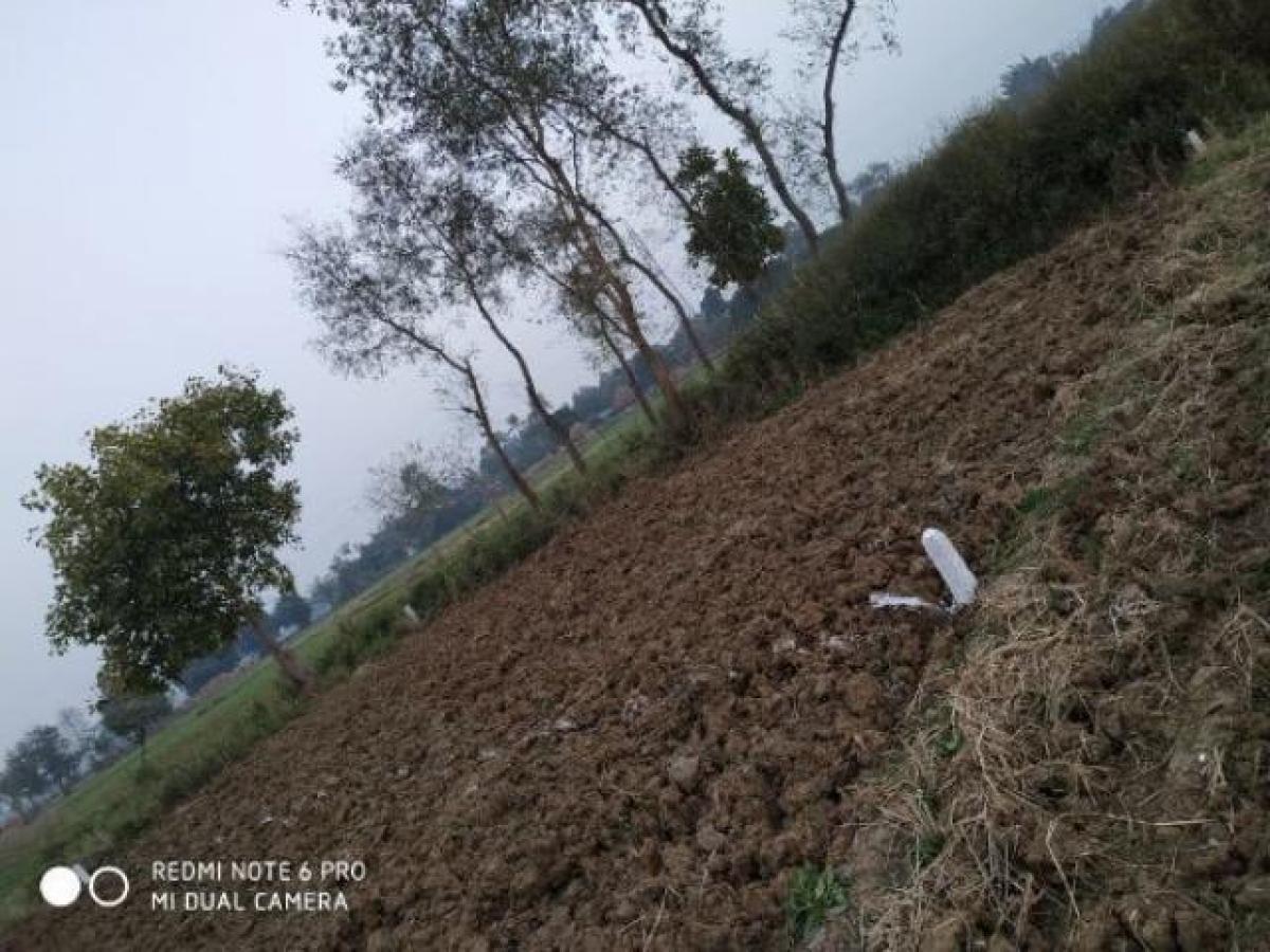 Terreno em Patna, India N.º 30352