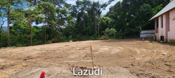 Commercial property in Ko Samui, Thailand No. 22107 4