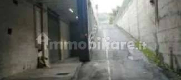 1 room Warehouse in Taggia, Italy No. 260310 2