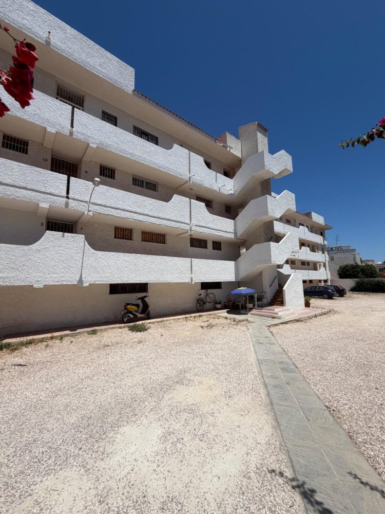 1 chambre appartement à vendre à Torrevieja, Alicante, Valencian Community, Spain № 370085