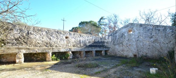 2-Zimmer Villa in Gioia del Colle, Italy, Nr. 230292 12