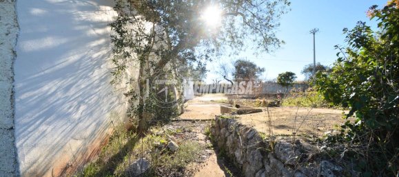 2-Zimmer Villa in Gioia del Colle, Italy, Nr. 230292 16