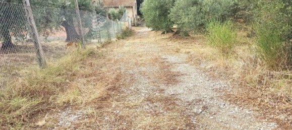 Земельный участок 2510м² в Паникале, Италия № 119730 5