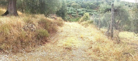 Земельный участок 2510м² в Паникале, Италия № 119730 4