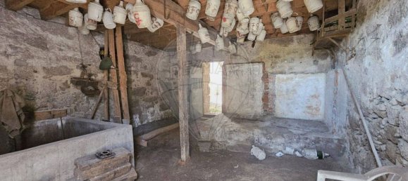 3 Schlafzimmer Haus in Canas de Senhorim, Portugal, Nr. 190368 10