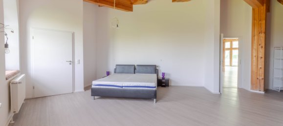 9 rooms Castles in Schleswig-Holstein, Germany No. 41241 17