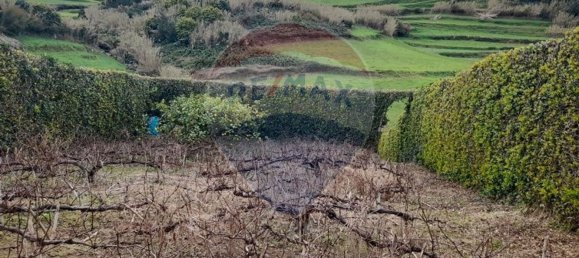 1393m² Land in Nordeste, Portugal No. 88838 3