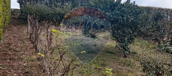 1393m² Land in Nordeste, Portugal No. 88838 5