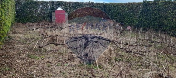 1393m² Land in Nordeste, Portugal No. 88838 6