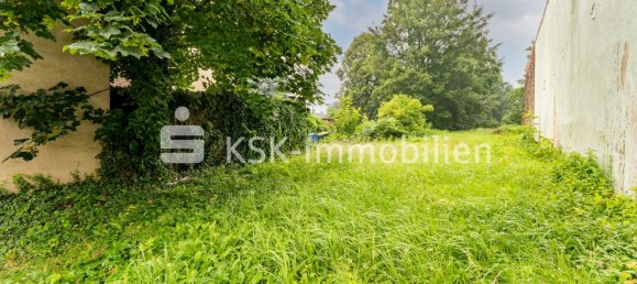 Land in Rhein-Erft, Germany No. 136064 5